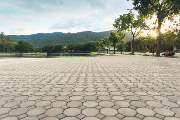 Best Driveway Paving Contractor  in Richlands, NC